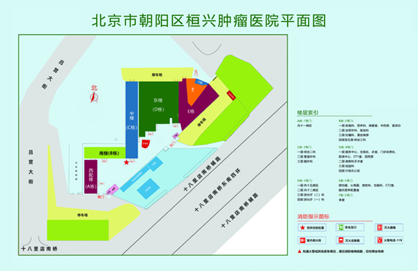 骚妣被男日了北京市朝阳区桓兴肿瘤医院平面图